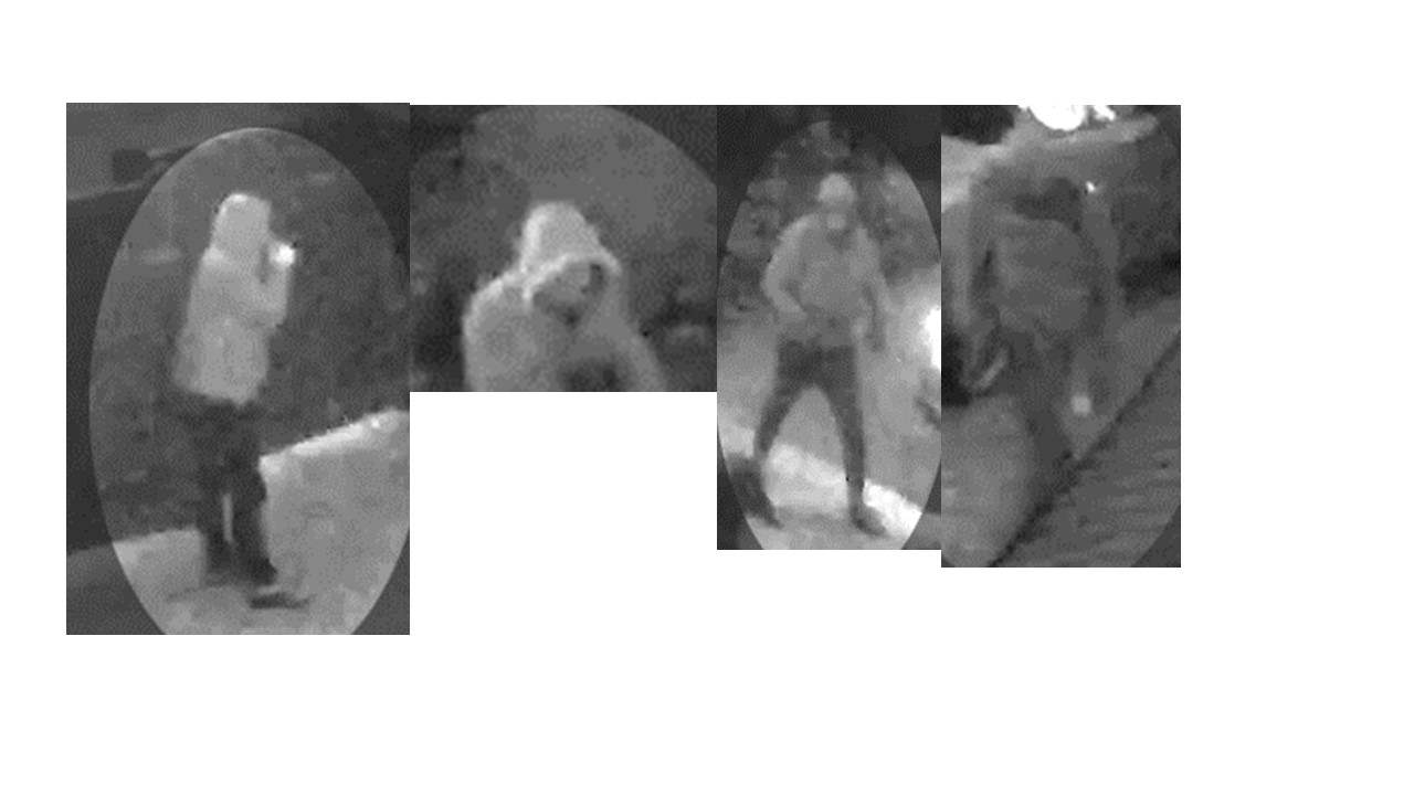 Images released after Hordle robbery