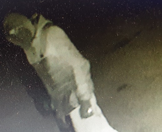 Witness appeal following attempted garage burglaries in Milford-on-Sea