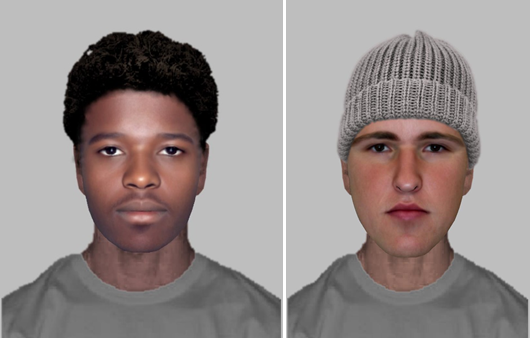 Witness appeal after assault and theft in Paulsgrove