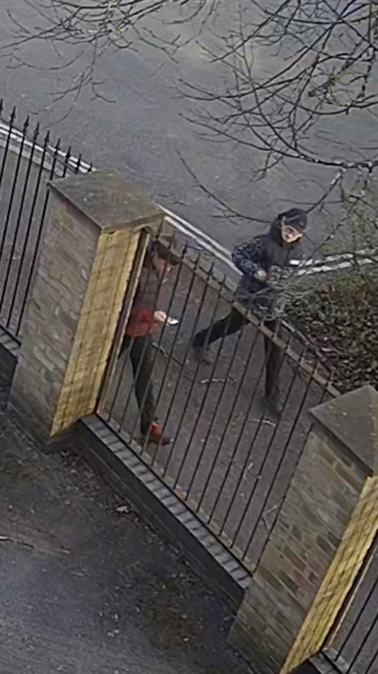 Witness appeal following motorcycle theft in Southampton