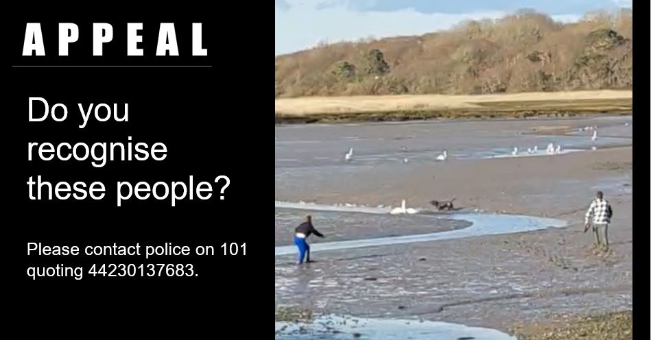 Image released as part of investigation into dog attack on swans