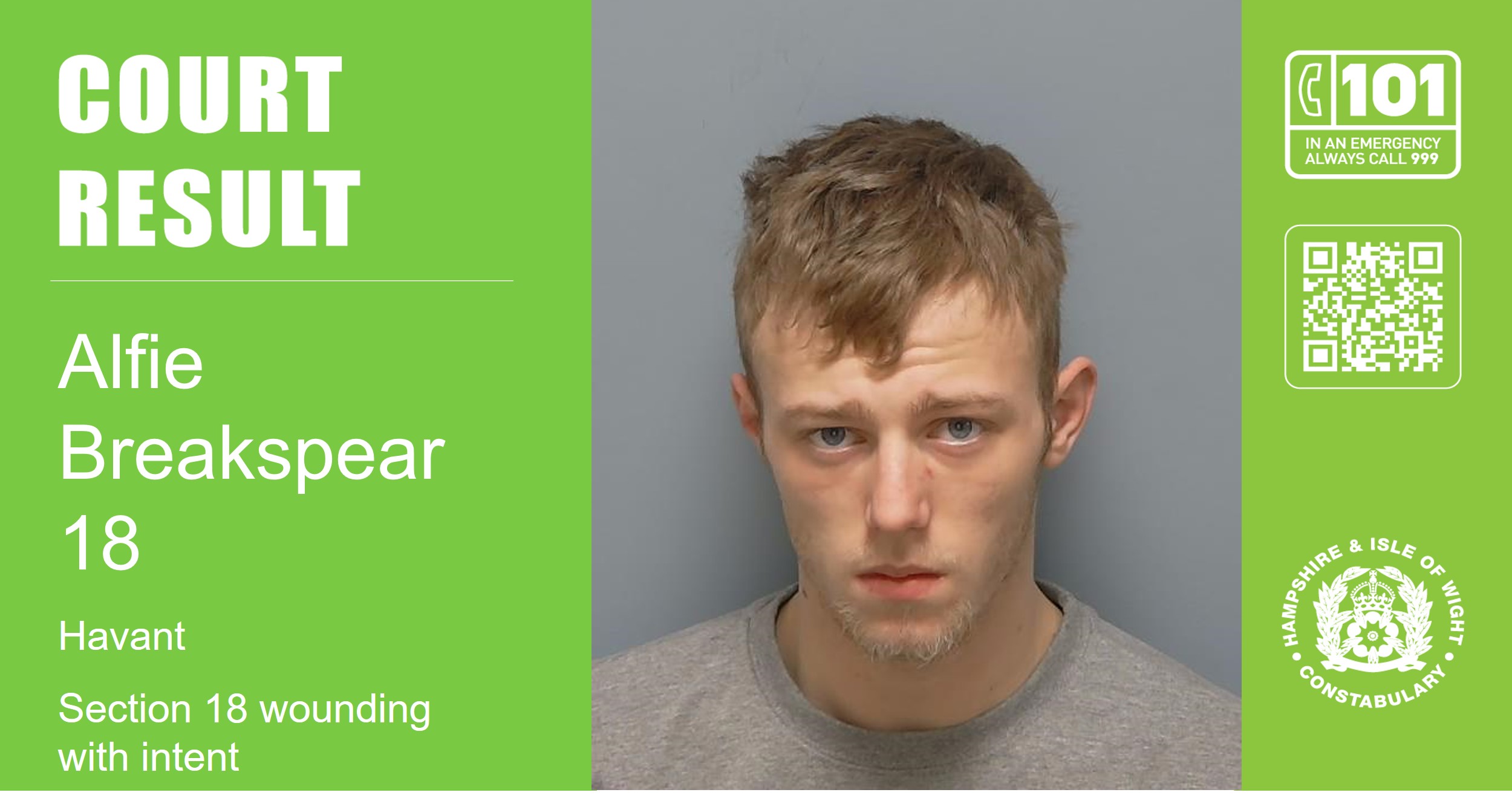 Teenager sentenced in connection with Emsworth stabbing