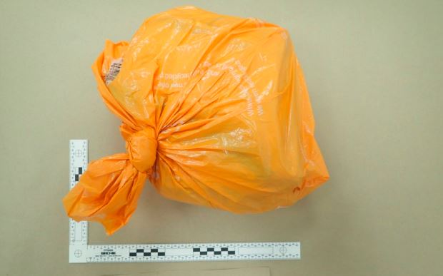 Orange Bag of Cash