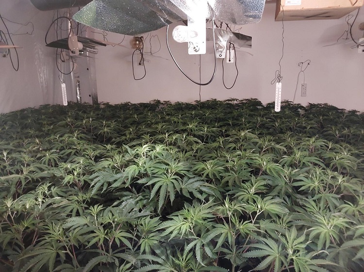 Drug supply lines disrupted across Hampshire and Isle of Wight during national week of intensification