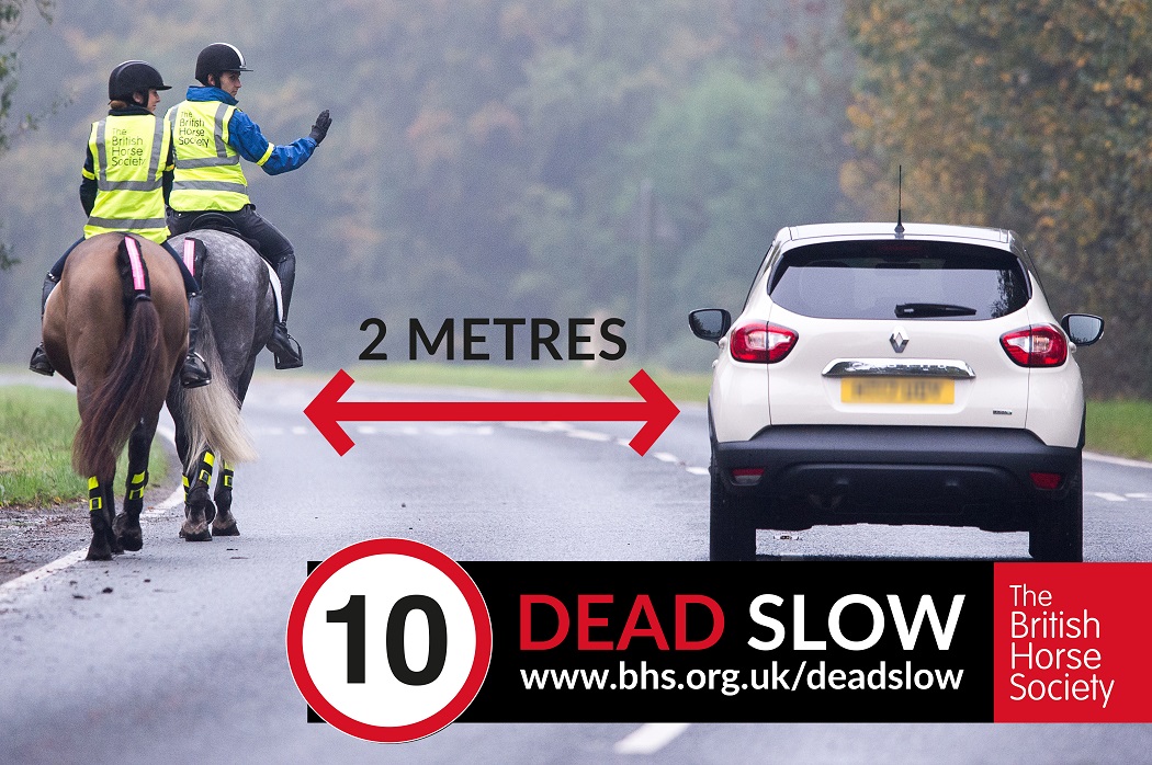 Horses in the road - Pass wide & slow!