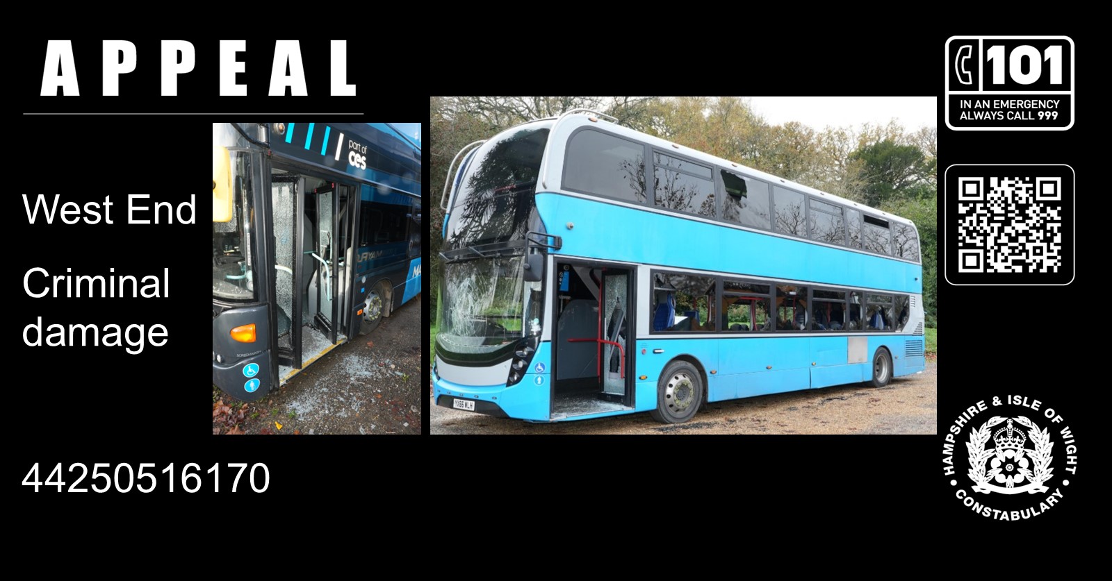 BUS3.jpg