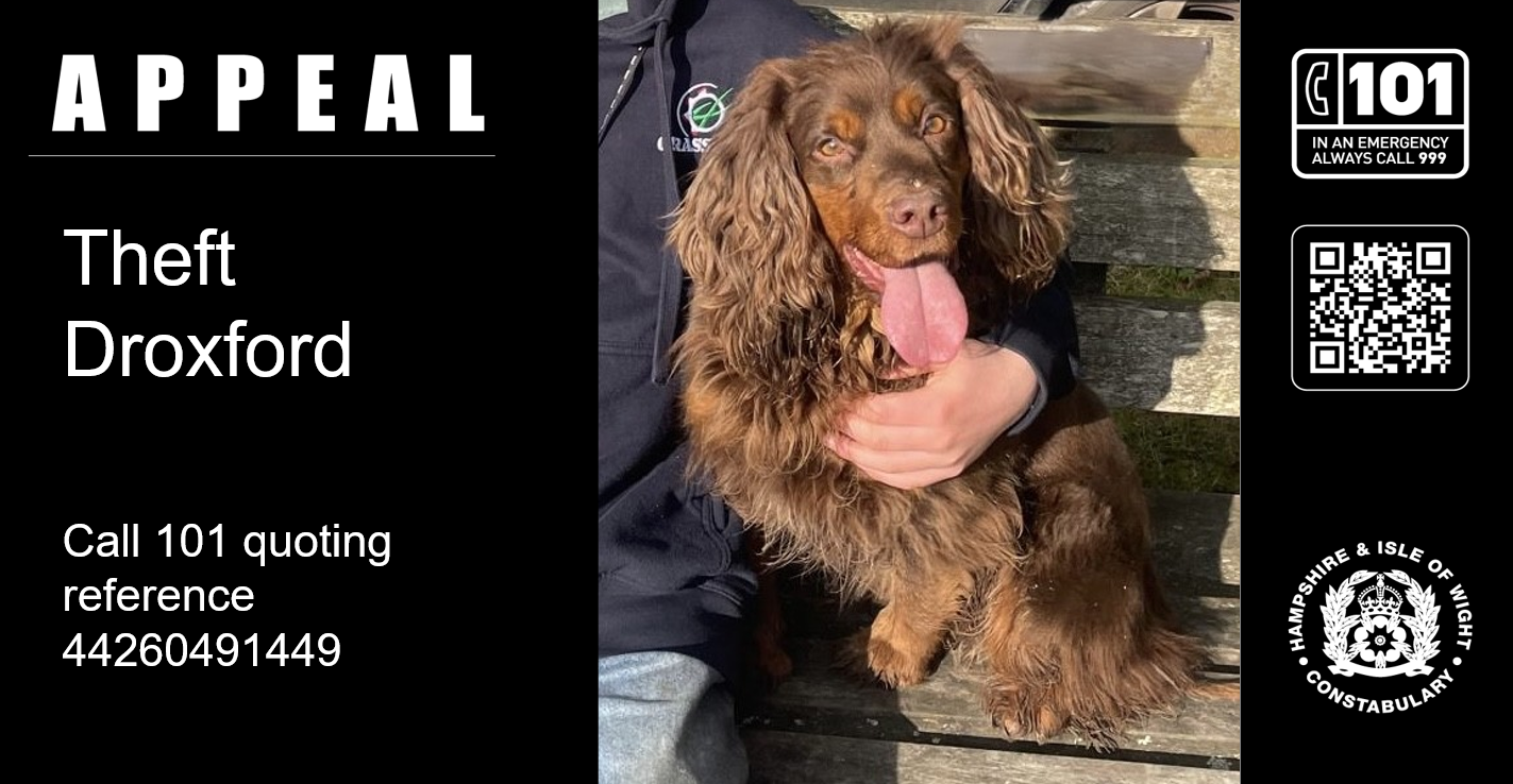 Appeal after trailer containing dog stolen from Hampshire farm