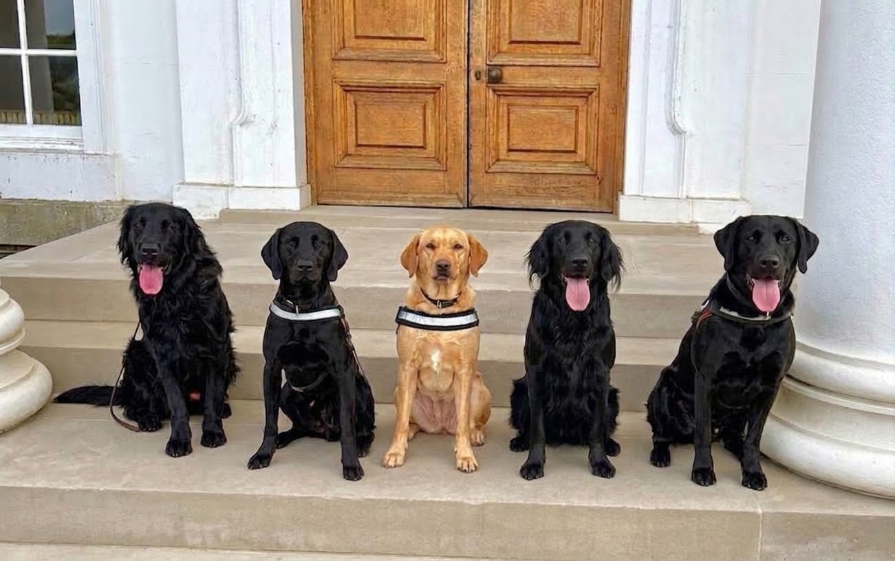HIOWC and TVP turn the tables on predators with pioneering people screening drug detection dogs