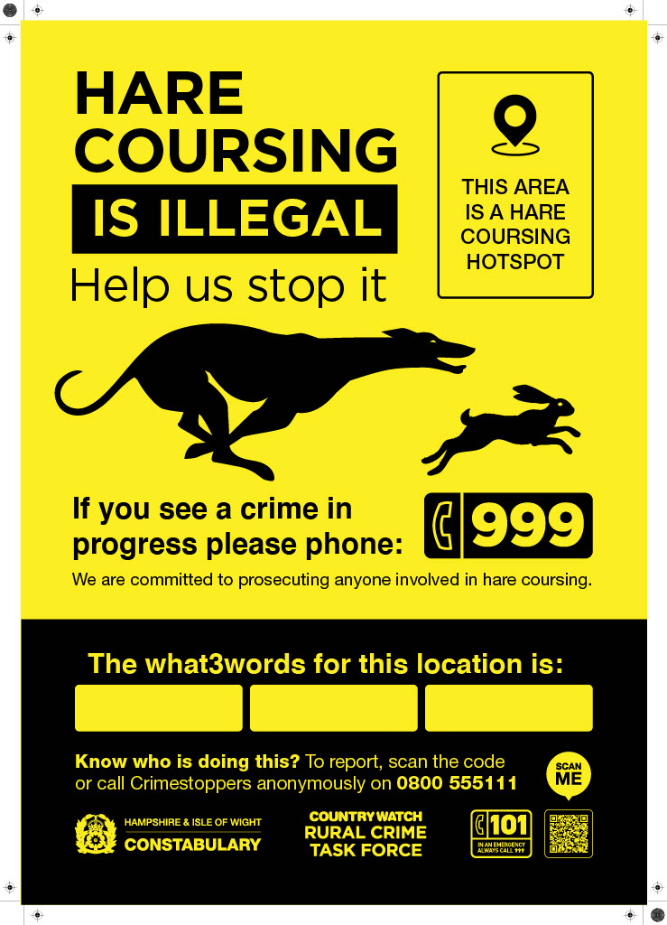 Hare coursing in rural Hampshire