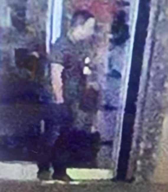 Appeal for information following sexual assault on Commercial Road, Portsmouth