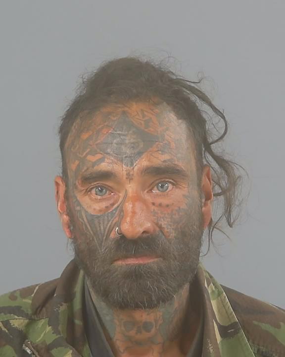 Two people have been convicted for their roles in a residential burglary in the New Forest; who were found hiding in bushes to evade detection. 