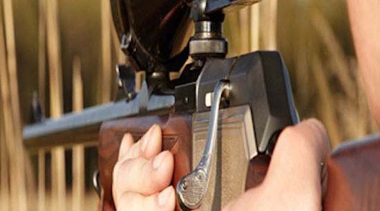 New Firearms Licensing Portal